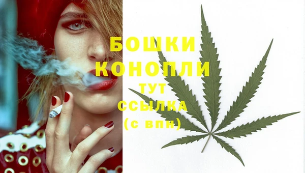 марки nbome Заводоуковск