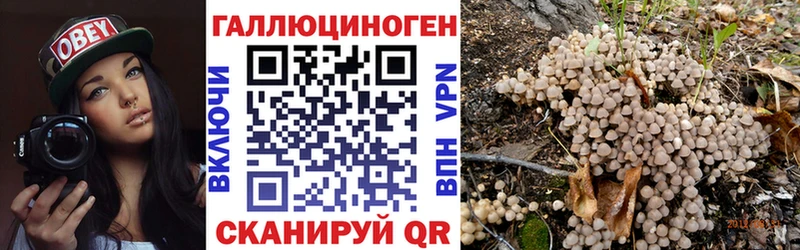 Псилоцибиновые грибы ЛСД  это официальный сайт  Радужный  наркошоп 
