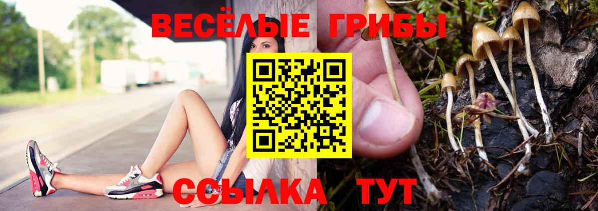 Радужный  Псилоцибиновые грибы мухоморы  Вход с VPN 