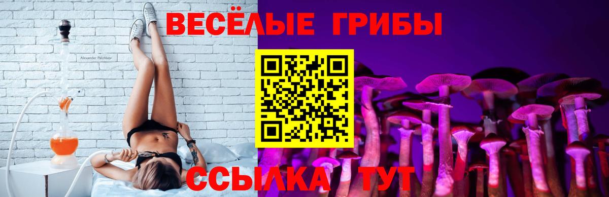 Псилоцибиновые грибы Psilocybine cubensis Радужный